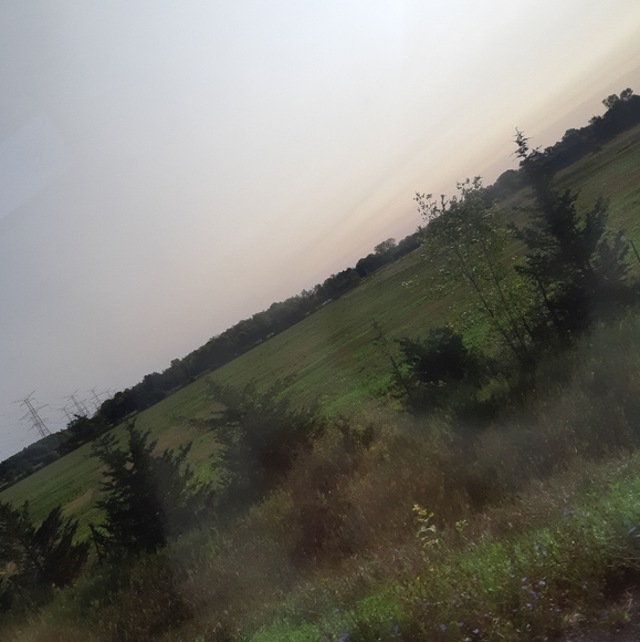 Meet your Posher, Ainsley - Picture 1 of 1